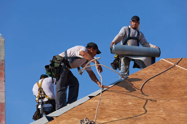 Best Metal Roofing Contractor  in Wintersville, OH